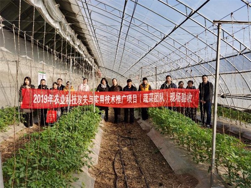 公司倒闭解散员工怎么赔偿？从法律角度解析